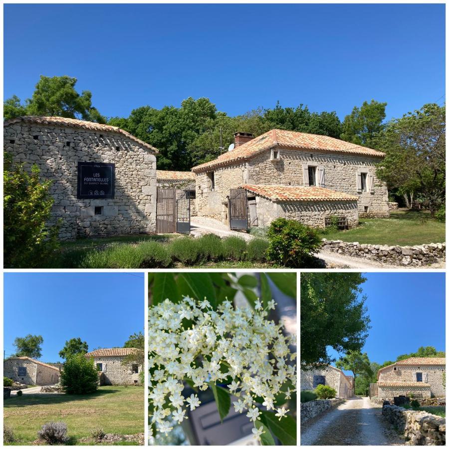 Les Fontanelles Du Quercy Blanc Villa Montcuq Buitenkant foto