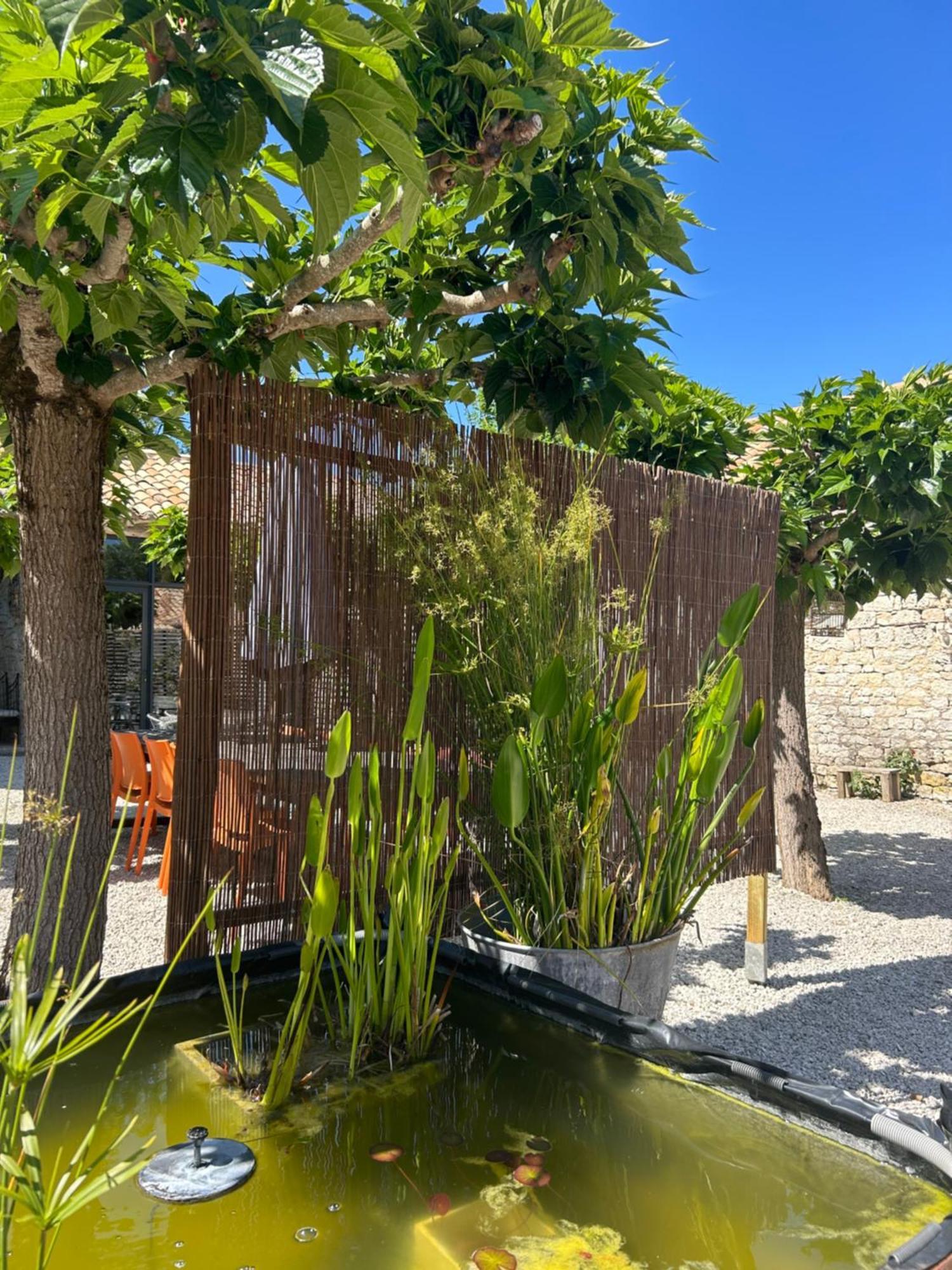 Les Fontanelles Du Quercy Blanc Villa Montcuq Buitenkant foto